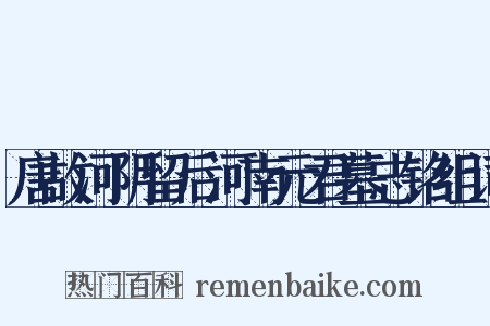 唐故河阴留后河南元君墓志铭组词是什么意思的图片